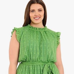 Maggy London Women's Plus Size Ruffle Neck & SLV Elastic Waist Clip Do